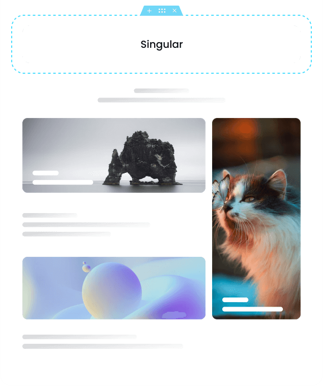 Singular-1